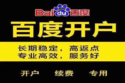 SEM网络推广案例：低成本高回报的营销策略